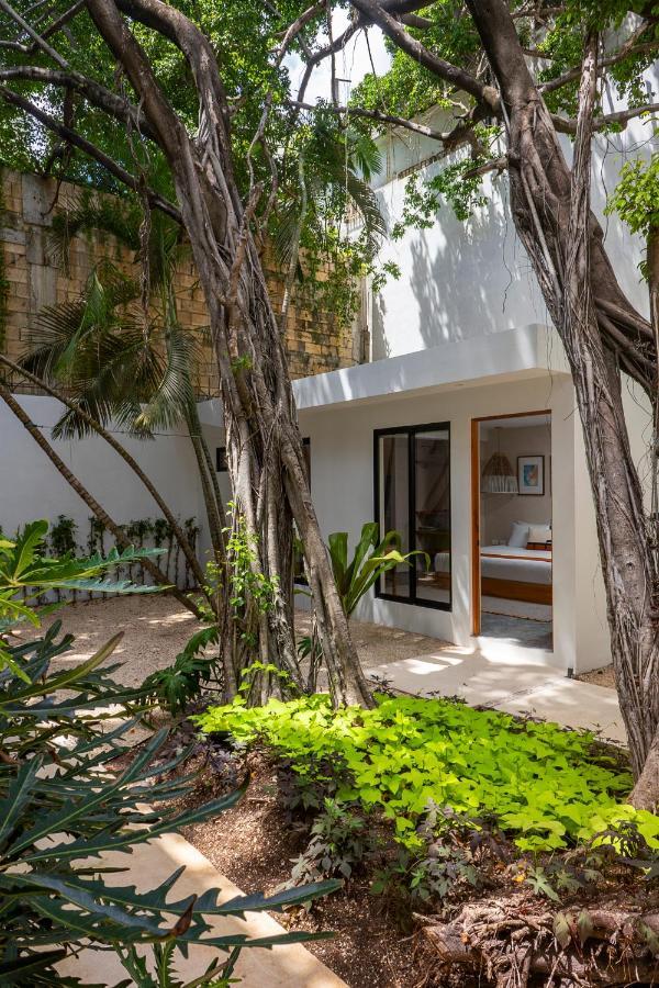 Hotel Aalada Playa Del Carmen Zewnętrze zdjęcie